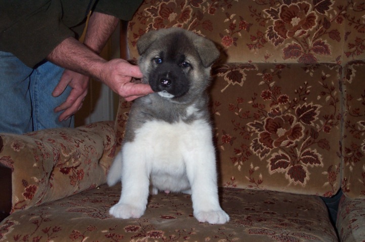 Kenny1